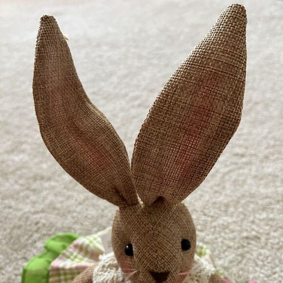 Bunny Boulevard Easter Bunny Rabbit Plush Floppy Ear Pink Gingham Dress Brown - Picture 5 of 9